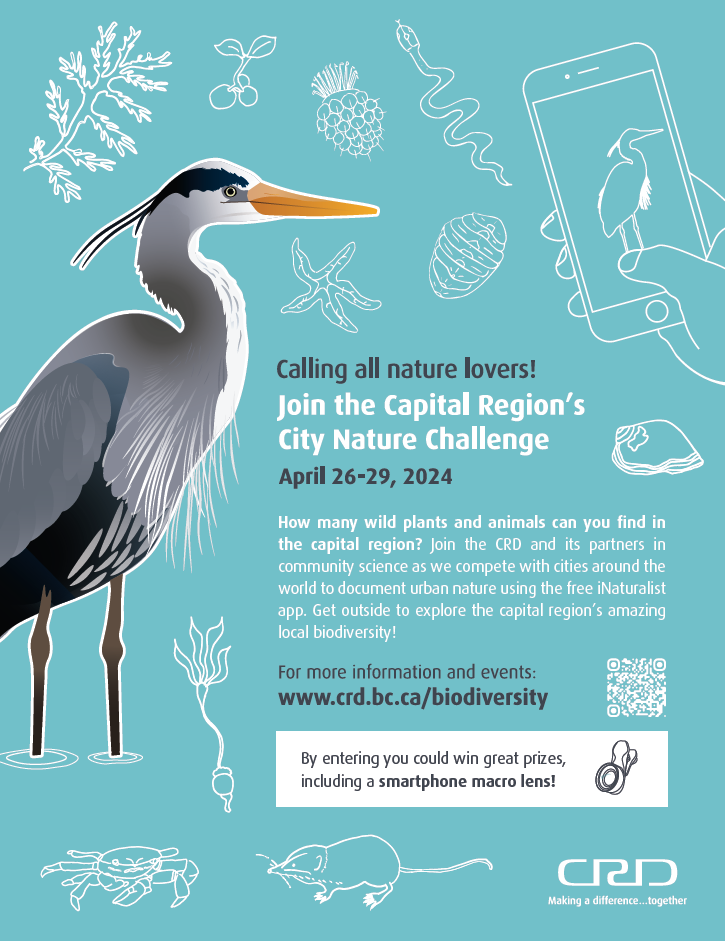 CRD City Nature Challenge poster