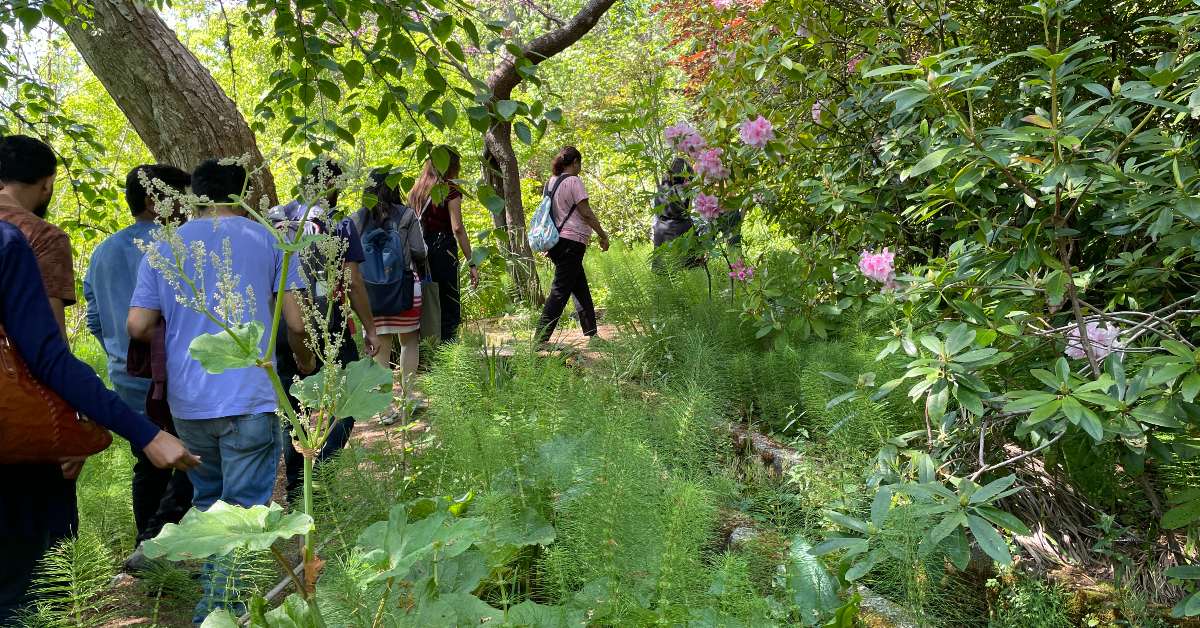 Student walking on nature path.