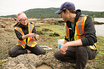 Two RRU students in safety vests sit on a coastal beach examining wildlife. This image links to information for transfer students.