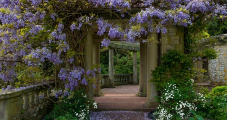 Free admission: garden gates swing open at Royal Roads
