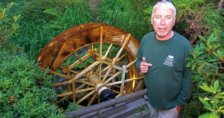 Pail Allison standing next to 100-year-old water wheel, surrounded by lush vegetation