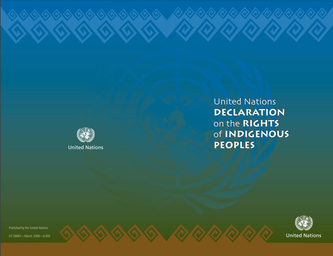 UNDRIP cover image