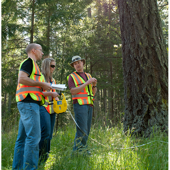 Students wearing safety vests gather outdoors, observing and discussing as part of a field study project