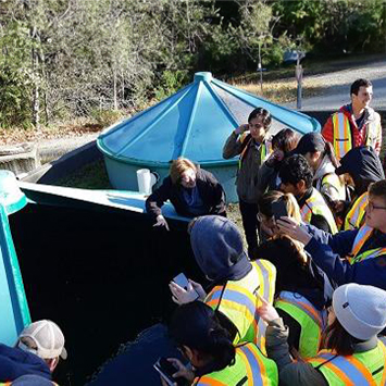 Students on a field trip wearing green safety vests