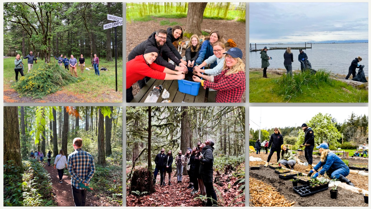 Composite image of HPP events, including people walking and working outdoors with plants, soil and looking at trees or removing litter.