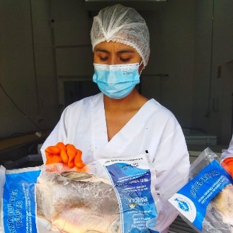 Woman wearing a hair net, white shirt, orange rubber glove holding a frozen fish wrapped in plastic packaging.