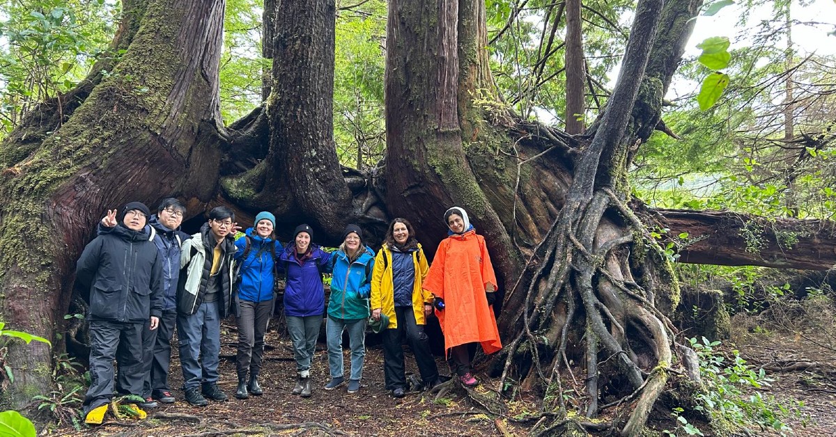 Students standing at the base of a four large trees.