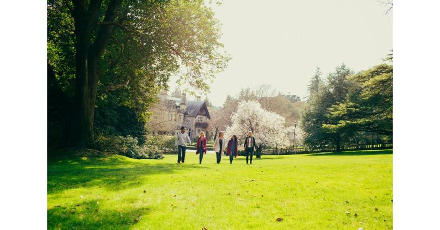 Five people walk on campus on a sunny day