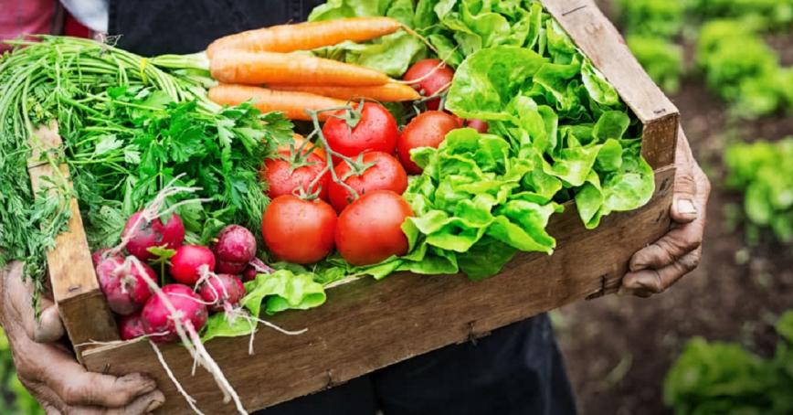 A gardener with dirty hands holds a big wooden box of fresh veggies.