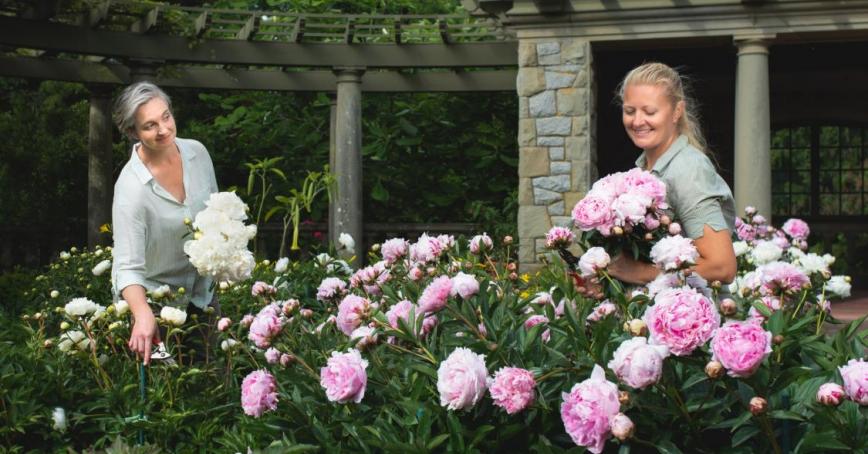 Gardeners Emma Lansdowne and Jessie Phillips in the Italian Gardens with peonies.