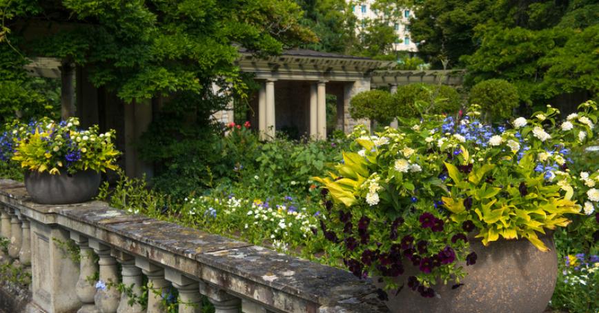 concrete garden wall with concrete planters with yellow and white flowers in foreground looking out to the expanded Italian garden and grounds