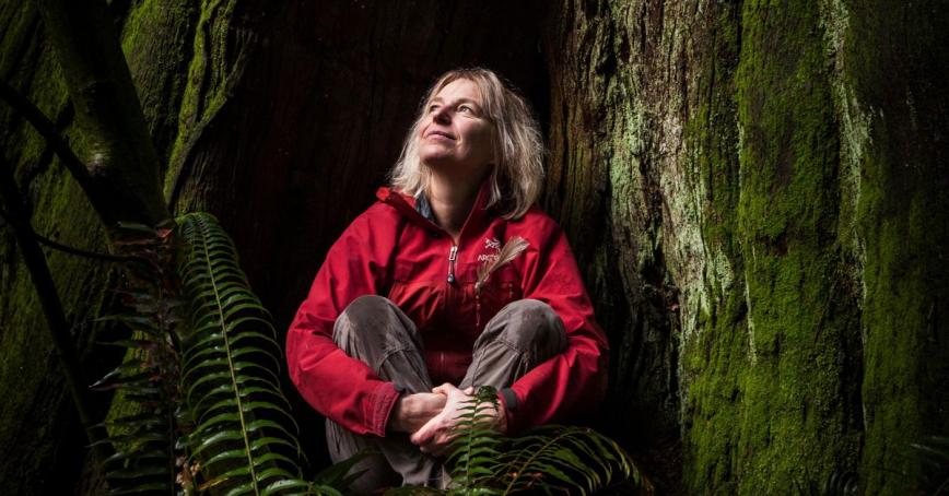 Dr. Suzanne Simard sits at the bottom of a big tree looking up into the sun.