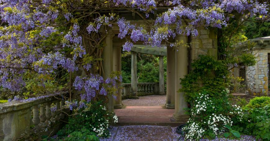 Italian Garden
