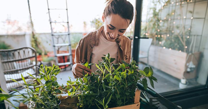 A student looking at plants growing.