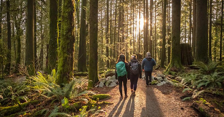 Students walking in the forest