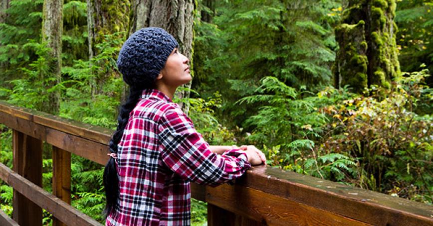 Student looking the forest