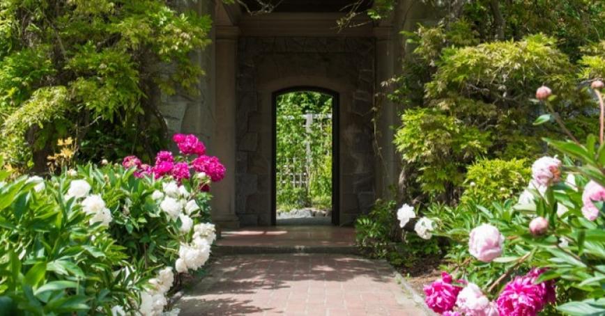 Pink and white rose garden 