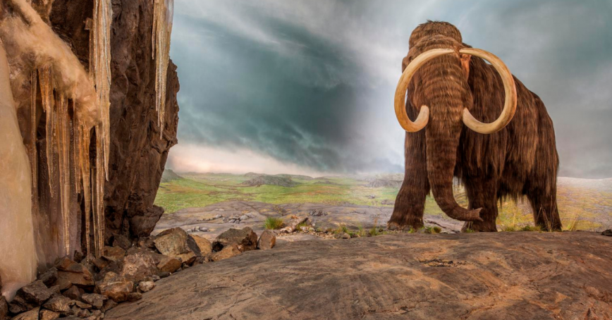 Photo of a wooly mammoth on the right following a road