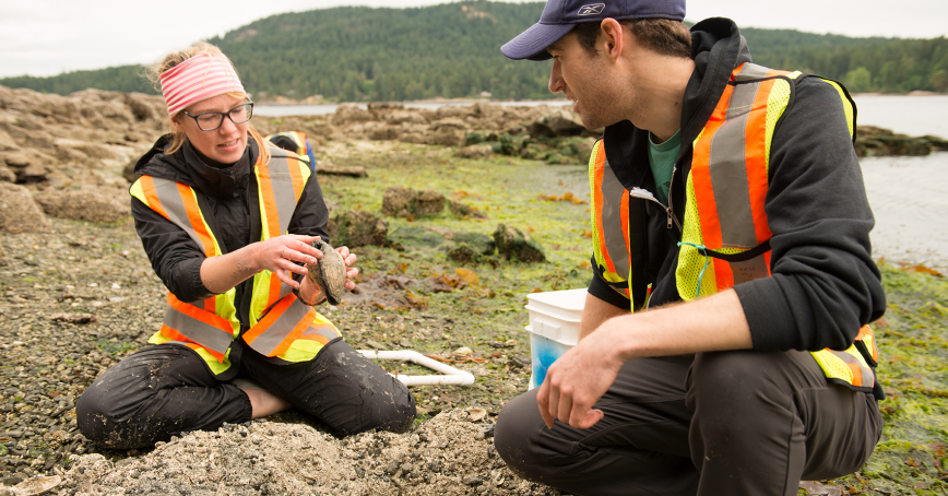 students working around a lake