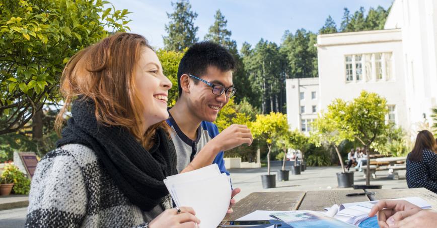 students working outside on campus