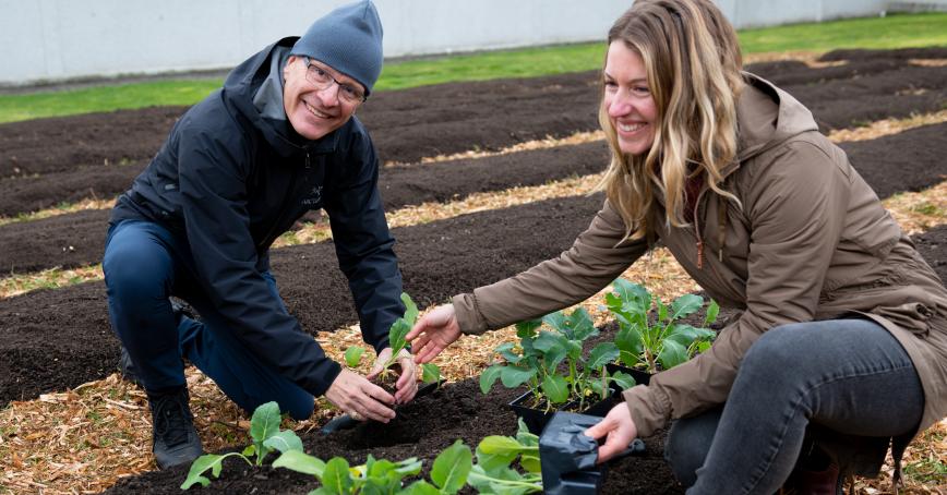 RRU President Philip Steenkamp and Food Systems Manager Solara Goldwynn plant broccoli and cauliflower plants.