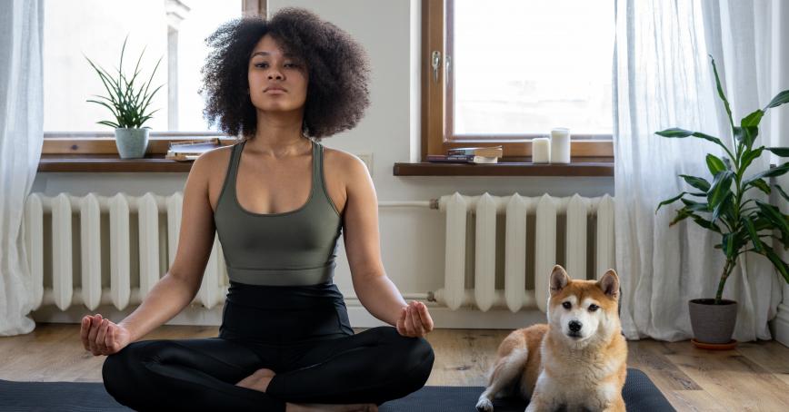 Someone doing a yoga pose next to a dog