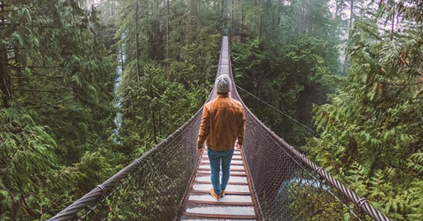 someone on a bridge surrounded by forest