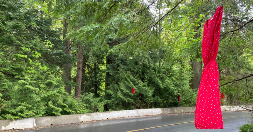 A billowy red dress in the rainy trees. Several red dresses hang in the distance.