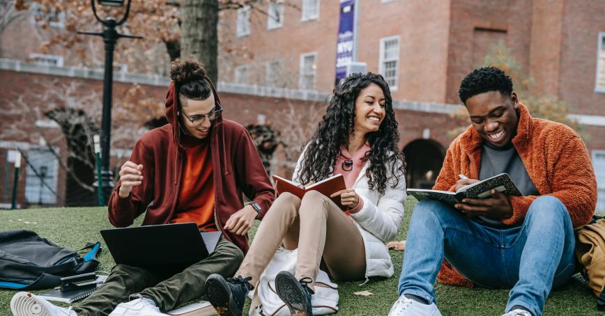 students studying on grass