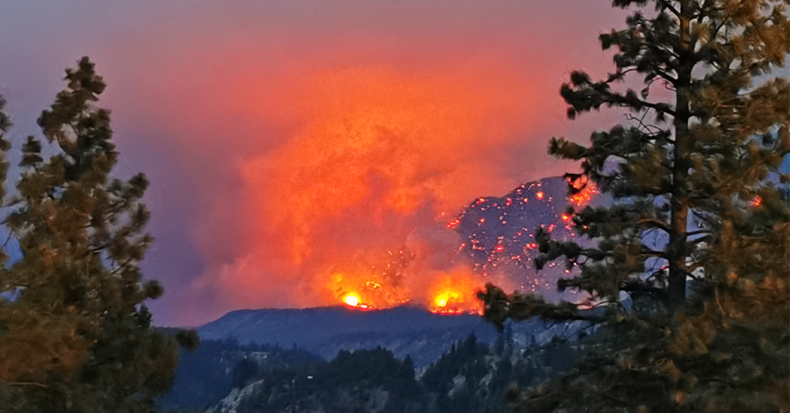 fire burning over a forest