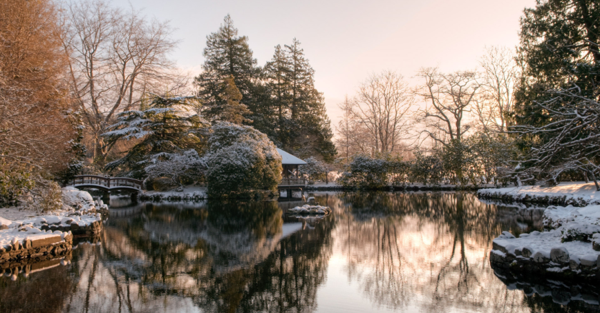The wintery Japanese Garden pond at Royal Roads.