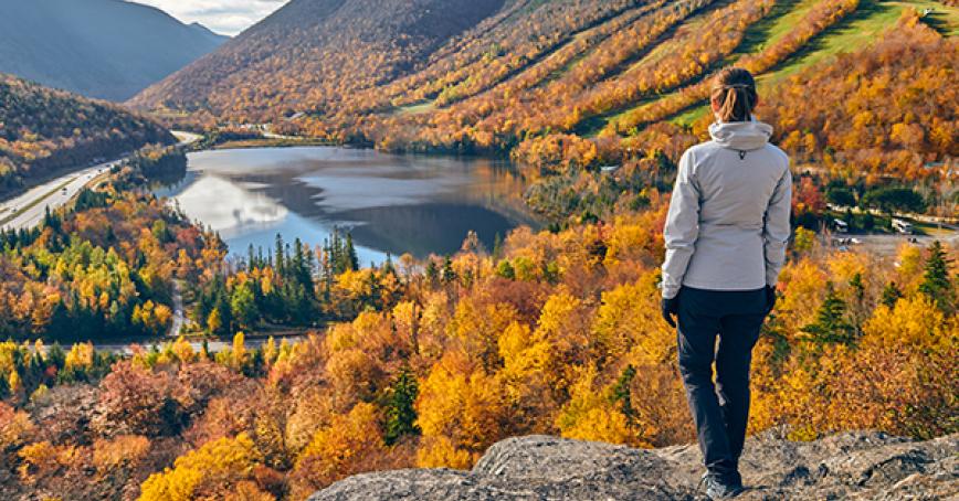 A human looking at a lake from the top of a hill in a forest.