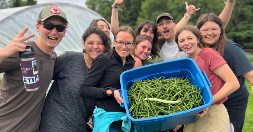 Howlers help sisters Jessie and Rebecca of Spring Tide Farms harvest green beans