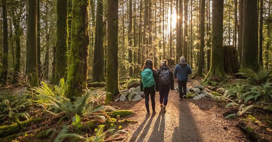 Royal Roads University