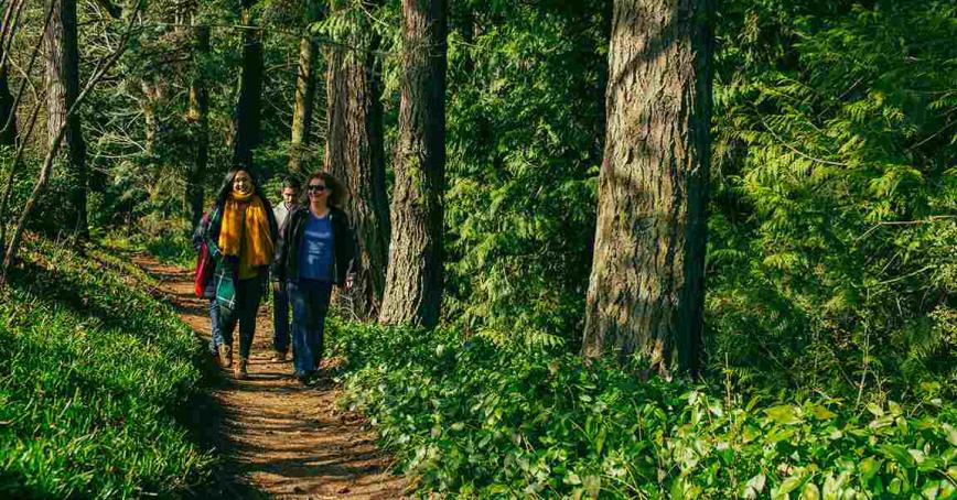 People walking on RRU forest trails