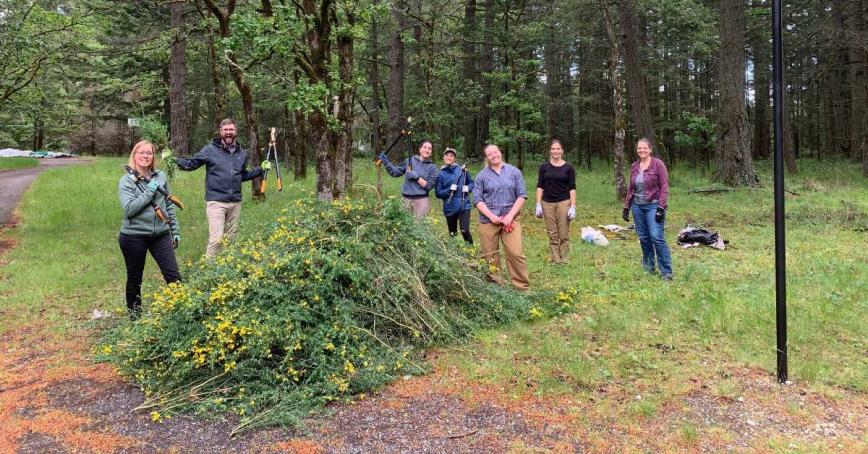 Healthy Planet Club members gathered around a pile of Scotch Broom