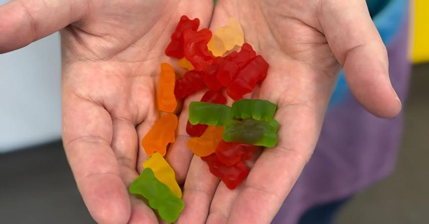 Two hands hold a bunch of colourful gummy bears