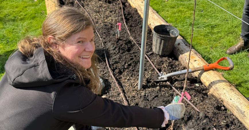 Francesca Jackman planting a fruit tree in the RRU polyculture orchard
