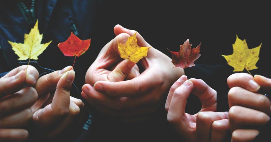 Small maple leaves in different colours being help up by different people. Just their hands are visible.