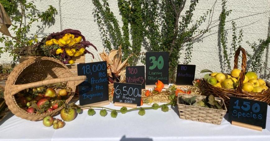 Table displaying fall harvest produce.