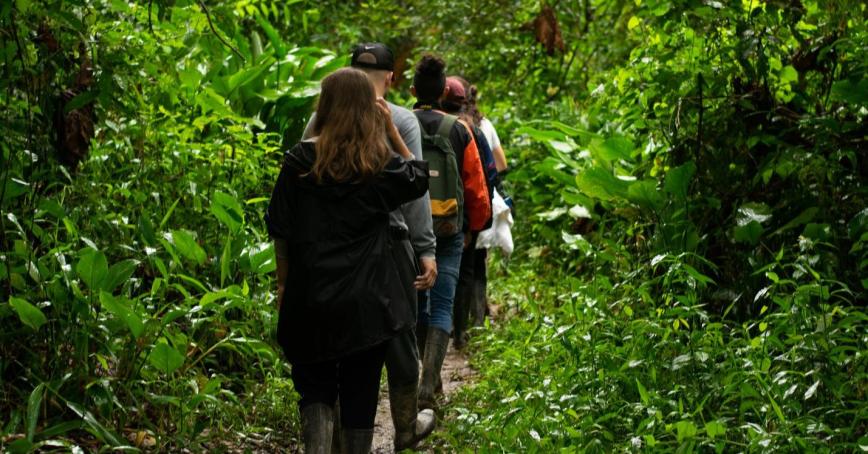 Backs of people walking on forest trail