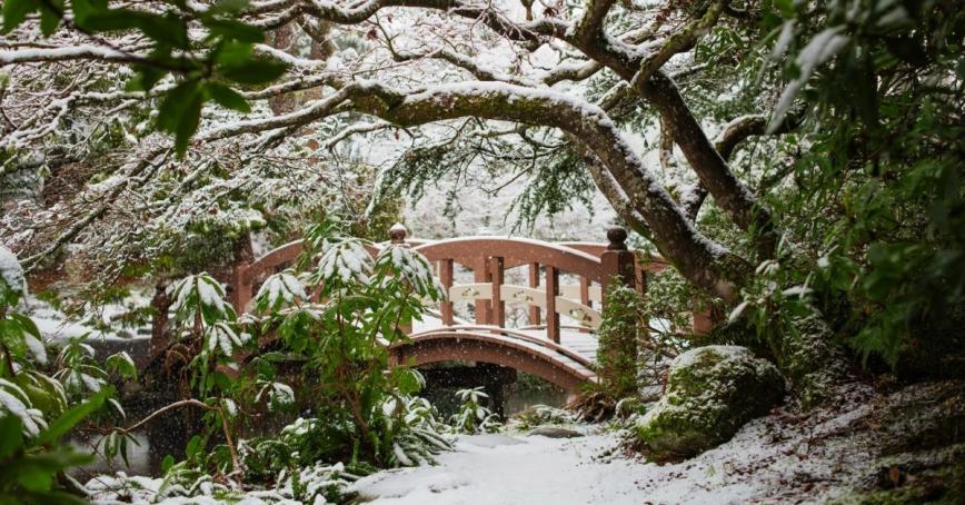 Snowy bridge in Japanese Gardens
