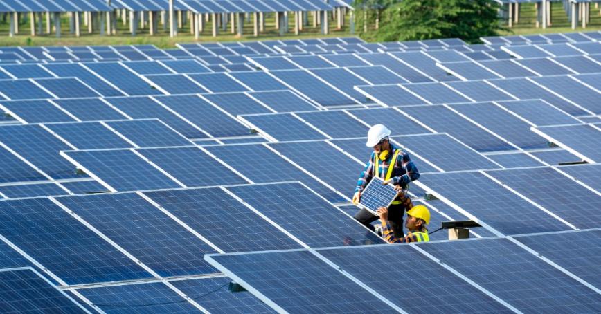 Two technicians working in the middle of a solar panel farm