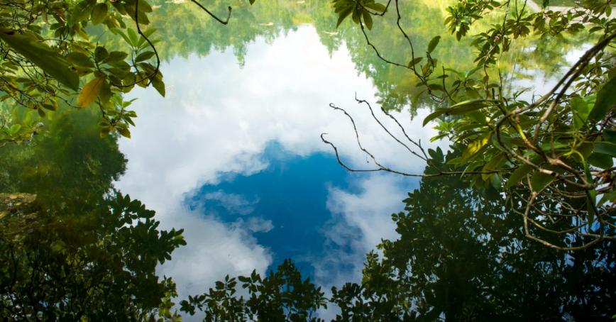 A hole in the green trees reveals a surprise...clouds reflected in the rippling water.