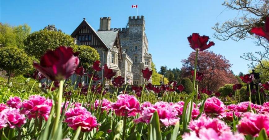Hatley Castle with pink flowers in the foreground