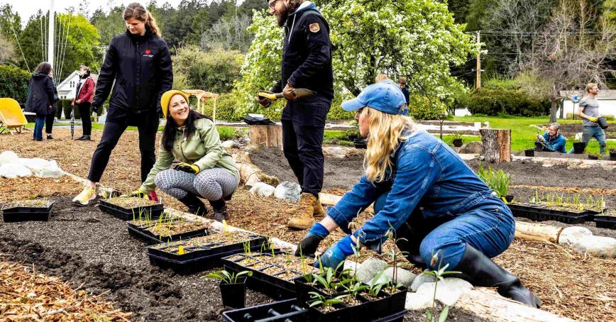 RRU employees planting seedlings in the Indigenous Medicine Garden