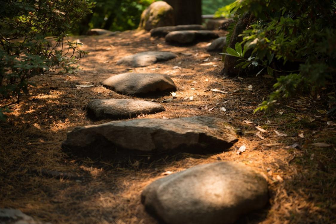 Stone-path-through-Japanese-garden