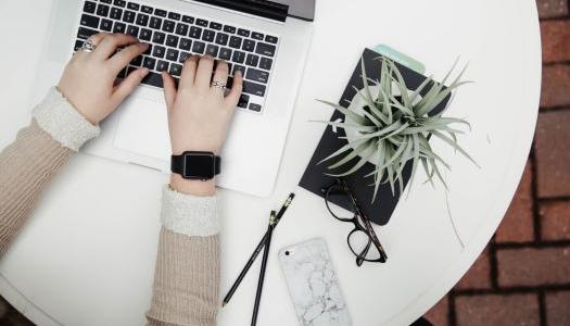 Person typing on a computer with a plant beside them on the desk.