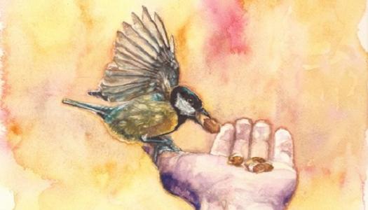 painting-of-bird-eating-out-of-a-hand