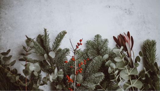 Christmas-pine-cones-eucalyptus-berries